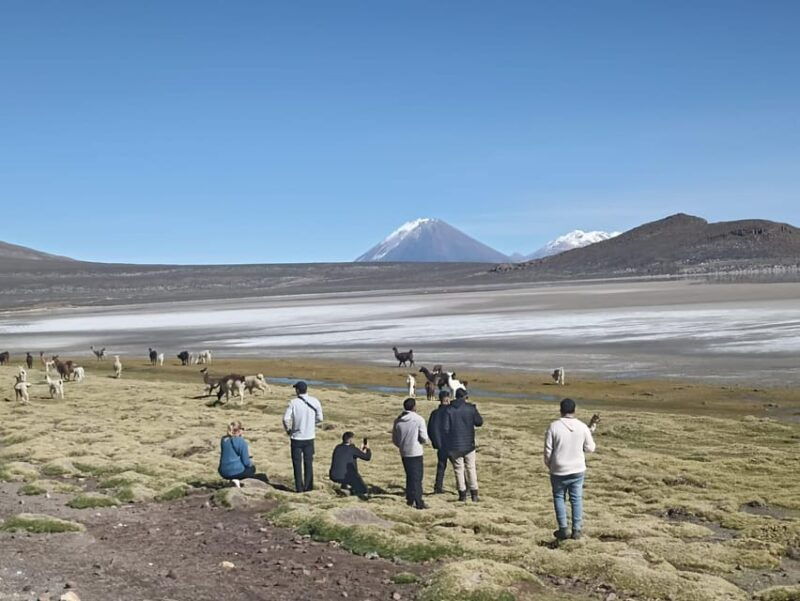 arequipa-full-day-tour-to-salinas-salt-lake