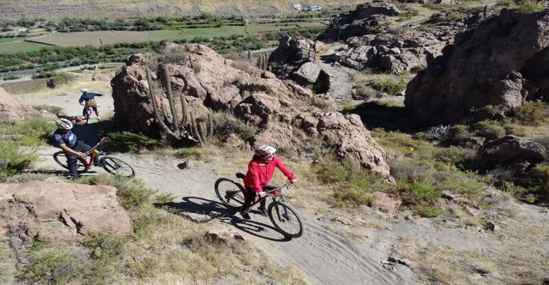 arequipa-the-rocks-park-and-chilina-valley-bike-tour