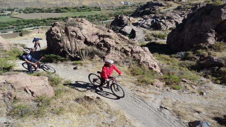 arequipa-the-rocks-park-and-chilina-valley-bike-tour