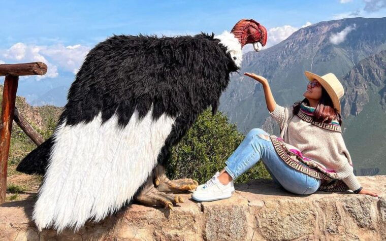 arequipa-trekking-to-the-colca-canyon-2-days-1-night