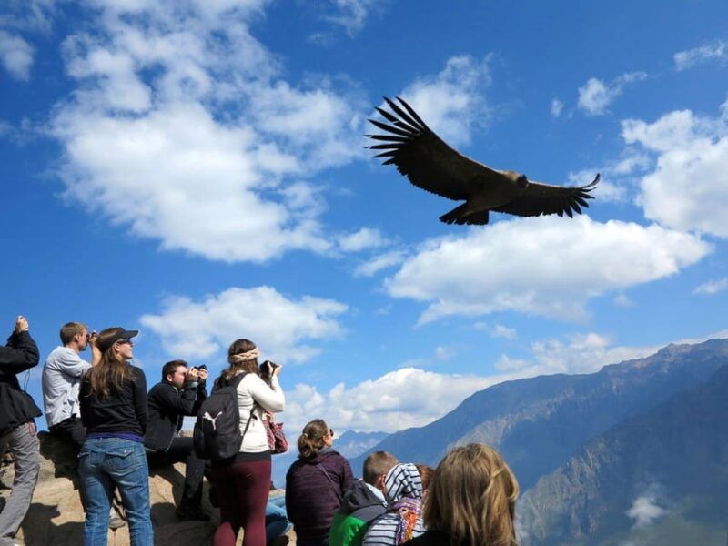 arequipa2-day-tour-of-the-colca-canyon