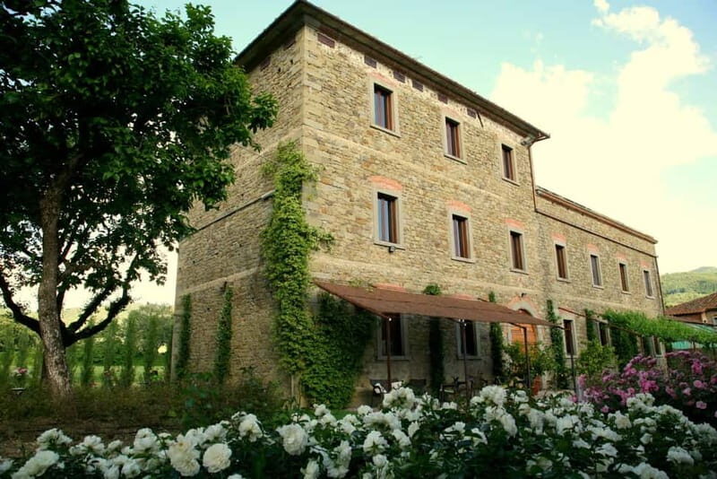 Arezzo: Vertical Tasting of Merlot Wines - Who Should Book This Experience?
