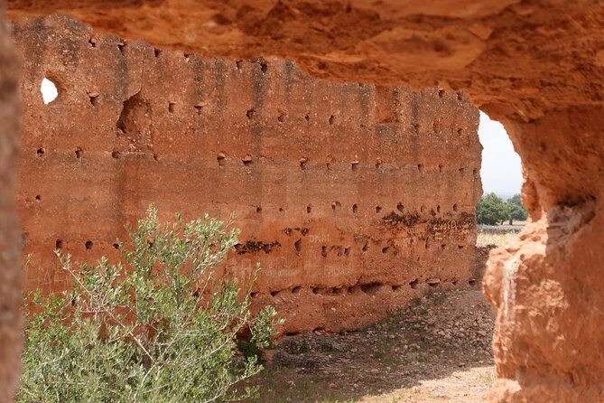 Argan Forest, tea time at a Berbers family & Visit of an Argan cooperative. - Final Thoughts: Who Is This Tour Best For?  