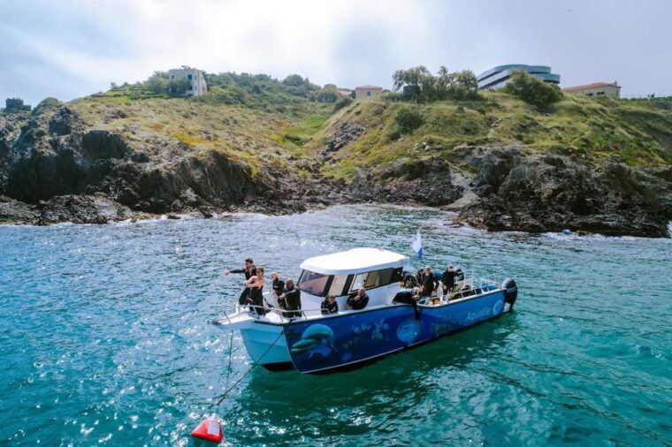 argeles-sur-mer-first-dive-in-the-marine-natural-park