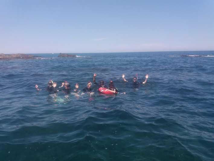 argeles-sur-mer-snorkeling-into-the-marine-natural-park