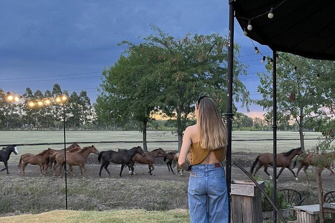 argentina-polo-experience-by-la-guapeada-polo