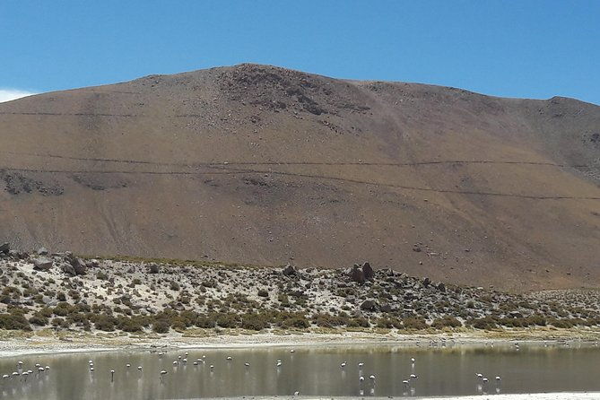 argentine-northwest