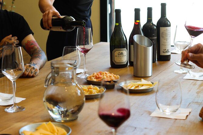 argentine-wine-tasting-in-caminito-with-appetizers-included