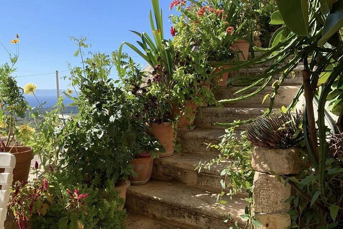 argostoli-and-beyond-a-journey-through-villages