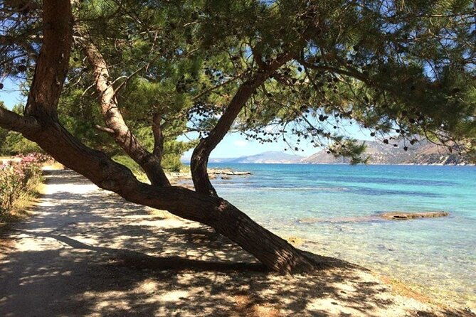 argostoli-and-beyond-a-journey-through-villages