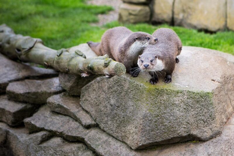 arguedas-sendaviva-natural-park-of-navarra-entry-ticket