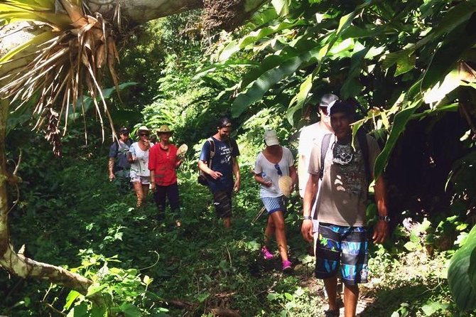 argyle-waterfall-with-adventure-farm