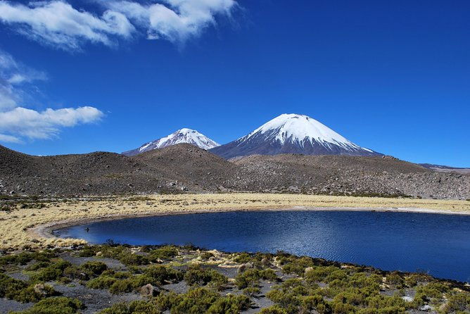 arica-full-day-to-lauca-national-park-and-chungara-lake-meals-included