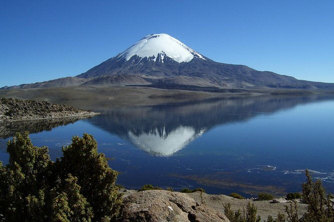arica-full-day-to-lauca-national-park-and-chungara-lake-meals-included
