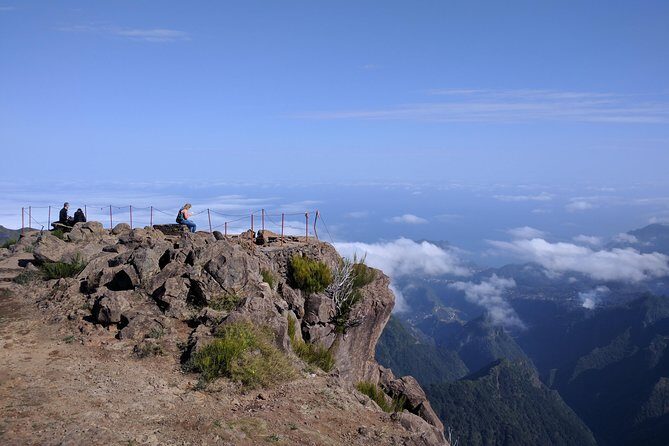 Arieiro Peak and Cristo Rei 4x4 Experience + Dolphins Watching - Why This Tour Offers Great Value