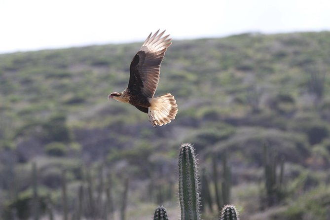 arikok-adventurous-hiking-experience-in-aruba