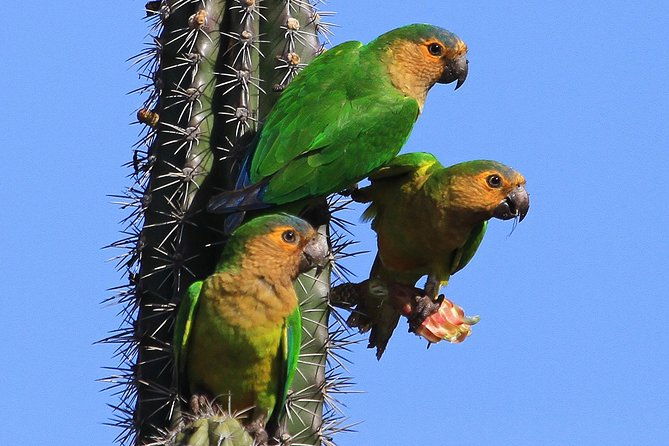 arikok-adventurous-hiking-experience-in-aruba