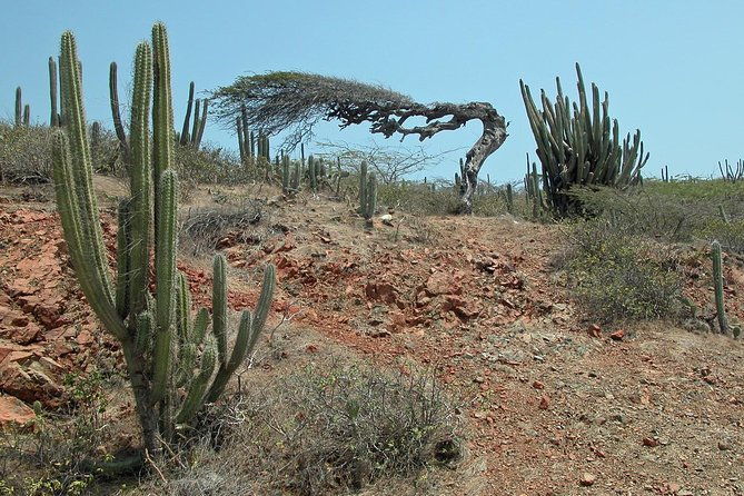 arikok-adventurous-hiking-experience-in-aruba