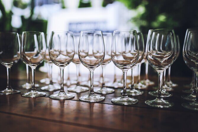 Arizona Winery All-Inclusive Tour with Lunch & Tastings - Who Should Consider This Tour?