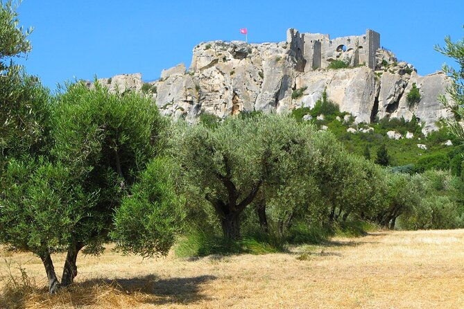arles-les-baux-and-saint-remy-villages-full-day-trip-from-aix