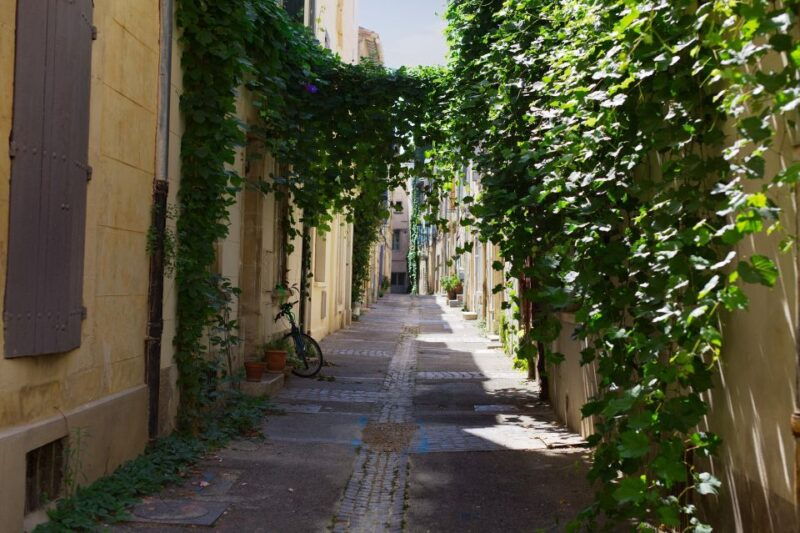 arles-private-guide-tour-explore-history-culture