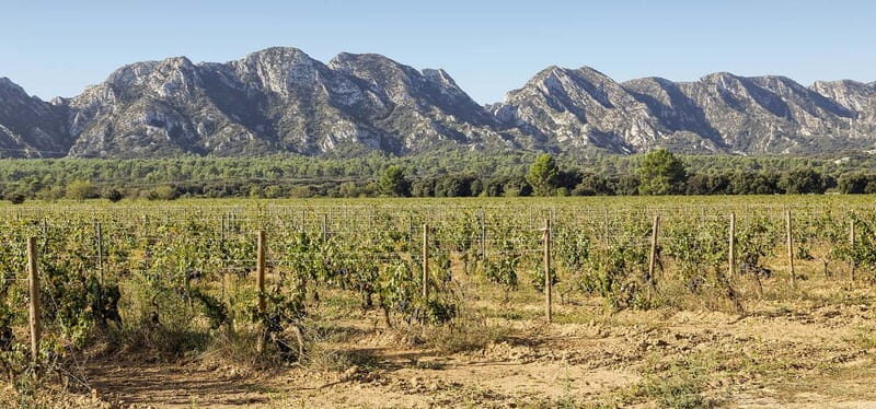 Arles, Saint-Rémy & Les Baux De Provence -7 hours - Discover the Charm of Provence in a 7-Hour Tour of Arles, Saint-Rémy & Les Baux