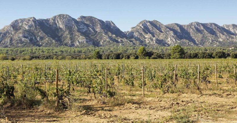 arles-saint-remy-les-baux-de-provence-guided-tour