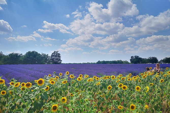 arles-small-groupe-tour-private-day-trip-to-luberon-villages