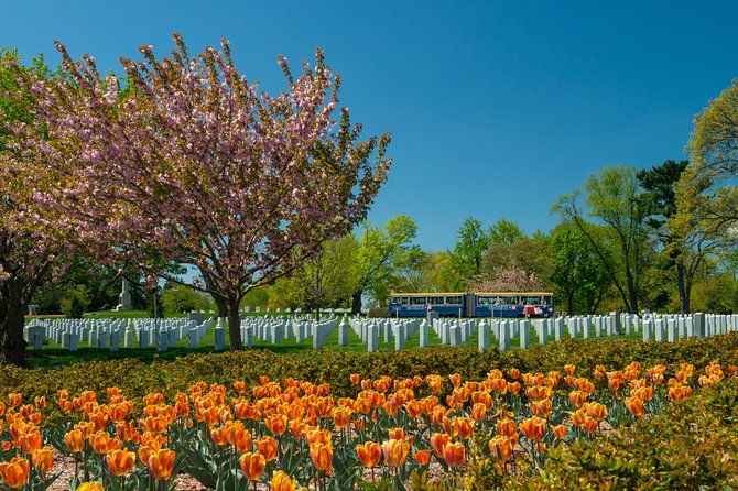 arlington-national-cemetery-hop-on-hop-off-tour