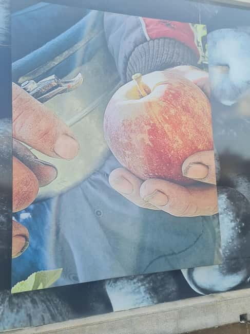 Armamar: Apple Orchard Tour with Lunch and Tastings - Practical Tips and Considerations