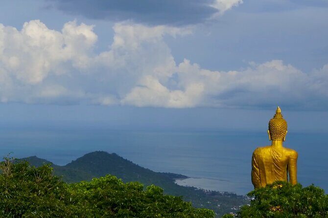 Army Jeep Jungle Safari and Elephant Freedom Rescue Centre Tour - FAQ