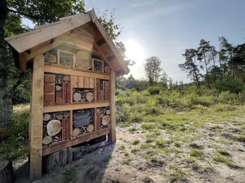 Arnhem: 8-hour culinary car tour of Veluwe - Who Should Consider This Experience?