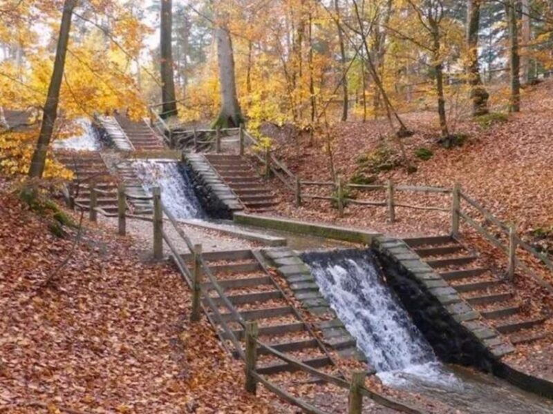 arnhem-8-hour-culinary-car-tour-of-veluwe