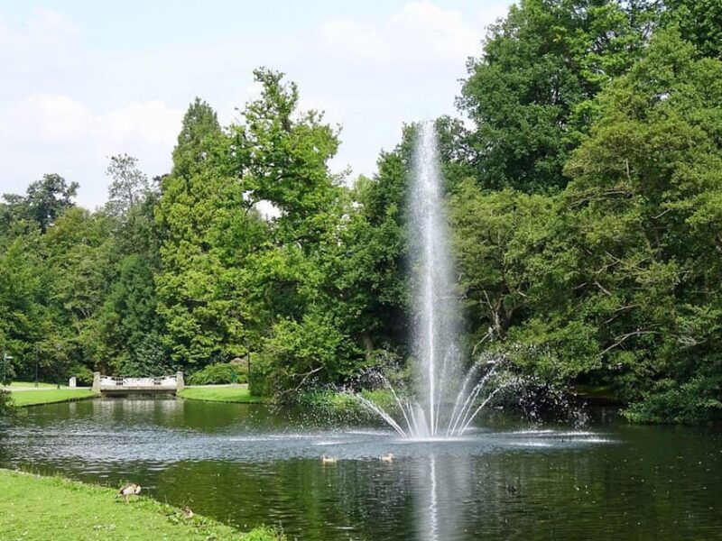 arnhem-8-hour-culinary-car-tour-of-veluwe