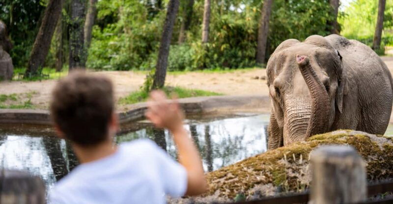 arnhem-burgers-zoo-entry-ticket