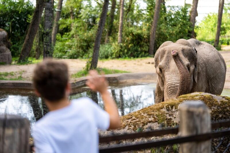 arnhem-burgers-zoo-entry-ticket