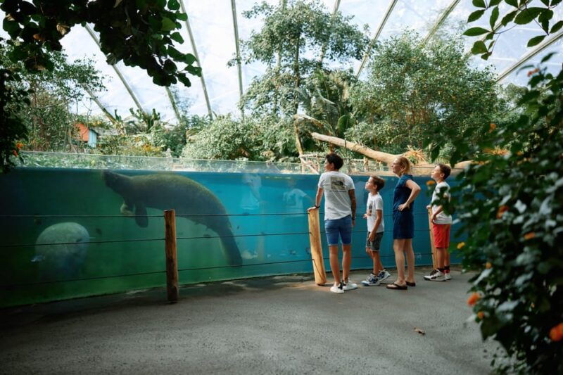 arnhem-burgers-zoo-entry-ticket