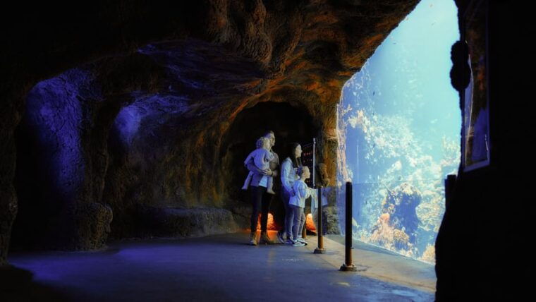 arnhem-burgers-zoo-entry-ticket