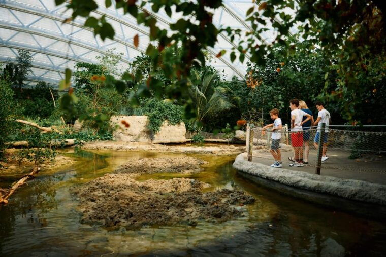 arnhem-burgers-zoo-entry-ticket
