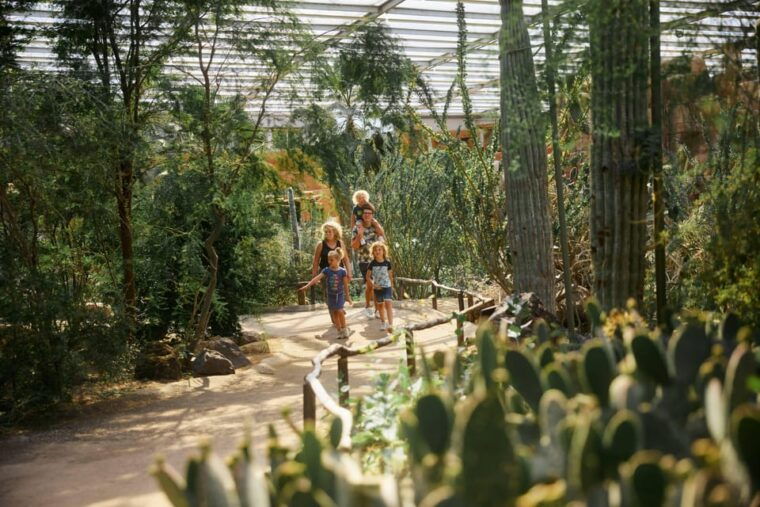 arnhem-burgers-zoo-entry-ticket