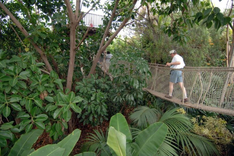 arona-entry-ticket-to-tenerifes-jungle-park-zoo