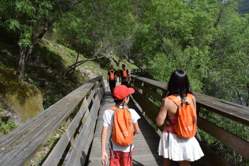 Arouca: Guided Tour Paiva Walkways + 516 Suspension Bridge - What To Expect in Detail
