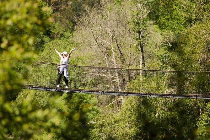 arouca-suspension-bridge-and-paiva-walkway-day-tour-from-porto