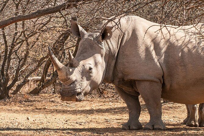 Around Gaborone Adventure - Key Points