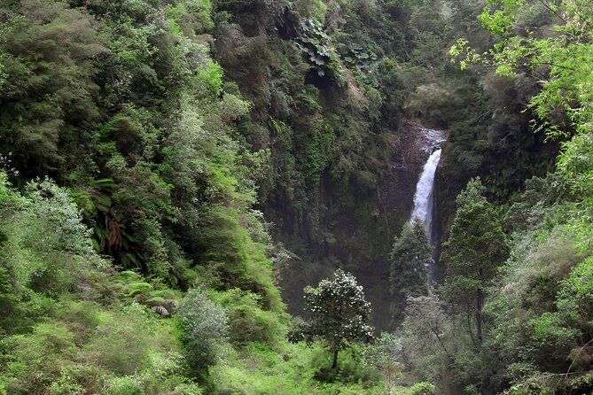 around-llanquihue-lake-private-puerto-varas-or-puerto-montt