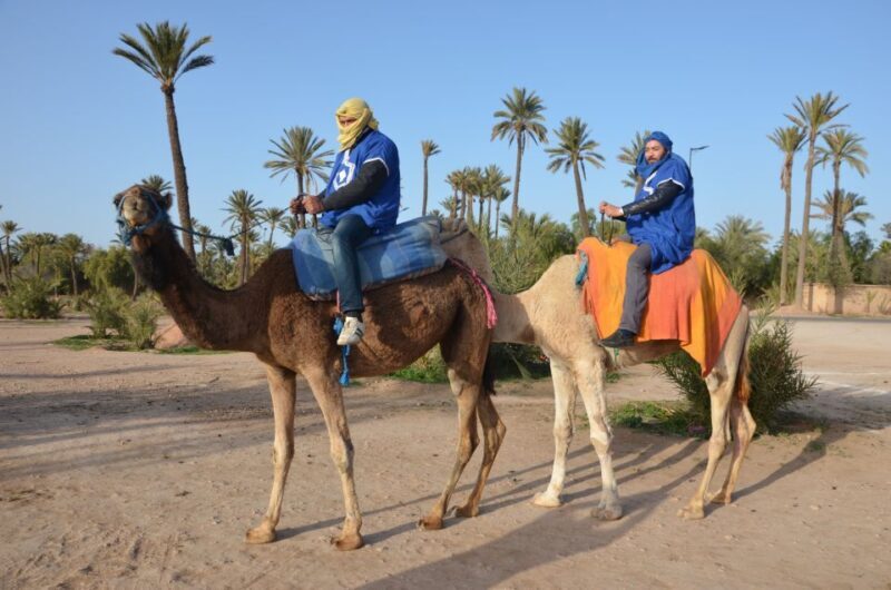 Around Marrakech: Camel Ride in Palm Groves including Tea - Key Points