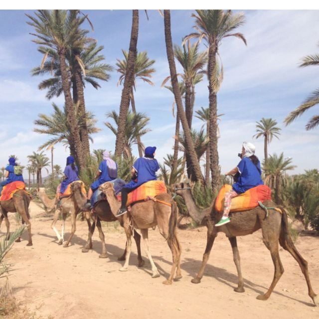 Around Marrakech: Camel Ride in Palm Groves including Tea - Who Will Enjoy This Tour?