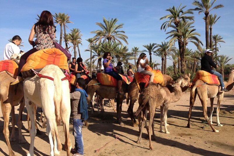 Around Marrakech: Camel Ride in Palm Groves including Tea - Final Thoughts: Is It Worth It?