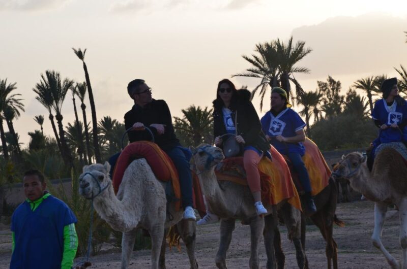 Around Marrakech: Camel Ride in Palm Groves including Tea - FAQ