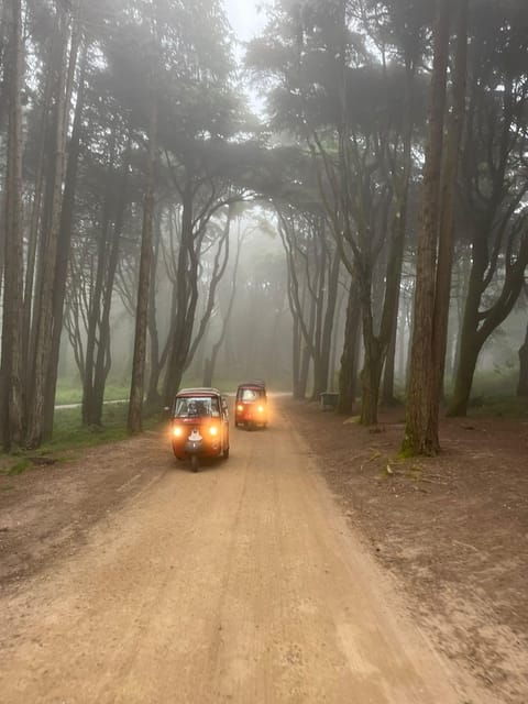 around-pena-palace-tuk-tuk-tour